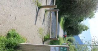 4241761.jpg