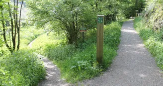4241763.jpg