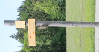 4241764.jpg