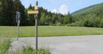 4241765.jpg