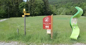 4241766.jpg