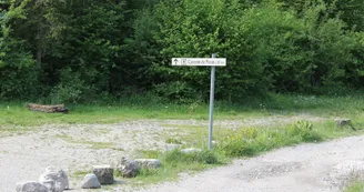 4241767.jpg