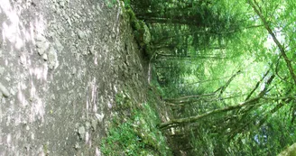 4241769.jpg