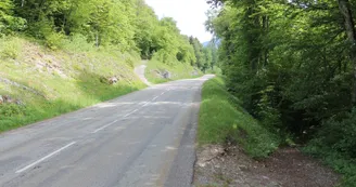 4241771.jpg