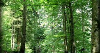 Boucle de Bellevaux