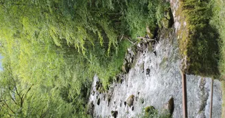 Boucle de Bellevaux