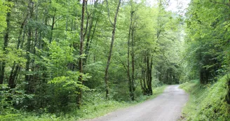 Boucle de Bellevaux