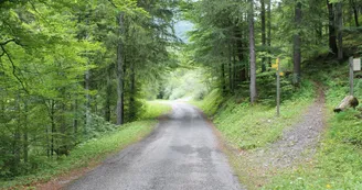 Boucle de Bellevaux