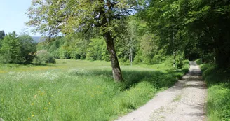 Boucle cascade du Pissieu