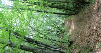 Boucle cascade du Pissieu