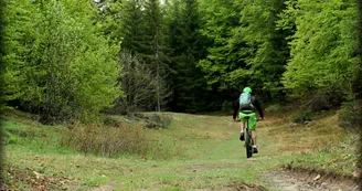 Piste VTT FFC verte - La Féclaz