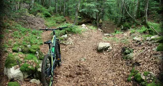 Piste VTT FFC noire 11 - La Féclaz