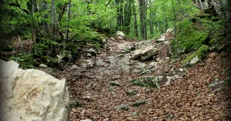 Piste VTT FFC noire 11 - La Féclaz