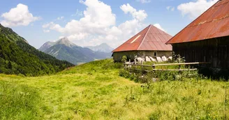 Parcours VTT AE - col de la Buffaz