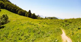 Parcours VTT AE - col de la Buffaz