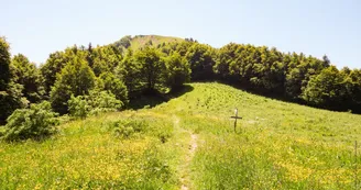 Parcours VTT AE - col de la Buffaz