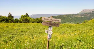 Parcours VTT AE - col de la Buffaz