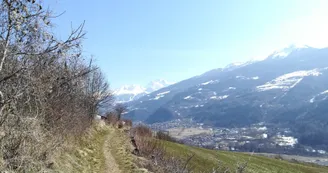 Itinéraire de randonnée pédestre : Sentiers des 4 saisons_Aime-la-Plagne