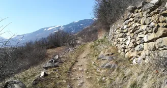 Itinéraire de randonnée pédestre : Sentiers des 4 saisons_Aime-la-Plagne
