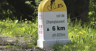 Borne Col de Champlaurent