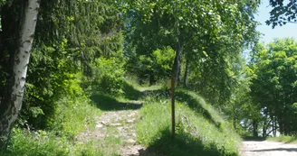 Sentier du Pré Benoit - Feissons sur Salins