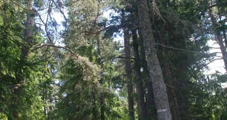 Sentier du Pré Benoit - Feissons sur Salins