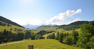Hameau des Excoffonières