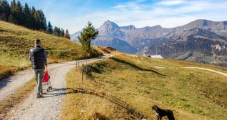 Chemin des Chalets Brûlés - Crest-Voland / Cohennoz