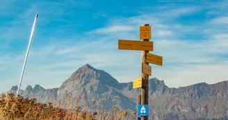 Chemin des Chalets Brûlés - Crest-Voland / Cohennoz