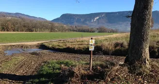 circuitvtt-aixlesbainsrivieradesalpes-entreforetsetcollines