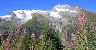 Glaciers de La Gurraz et de La Savinaz
