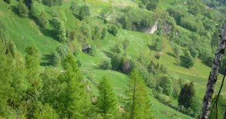 Planay de Villaroger