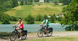 Cyclistes sur ViaRhôna à Seyssel