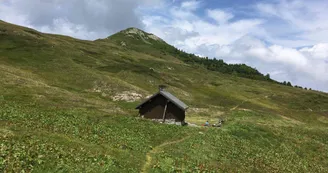 5712117.jpeg 5712117.jpeg