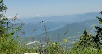 Les crêtes du Revard