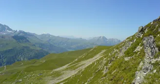 5976691.jpg
