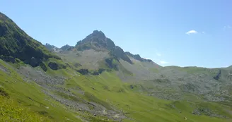 5976692.jpg