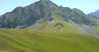 5976693.jpg