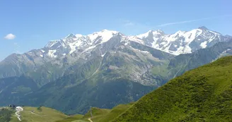 5976694.jpg