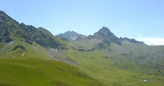 5976695.jpg