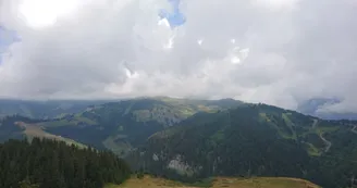 6329503.jpg