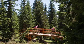 dh-vtt-dre-dans-lpentu-les-saisies dh-vtt-dre-dans-lpentu-les-saisies