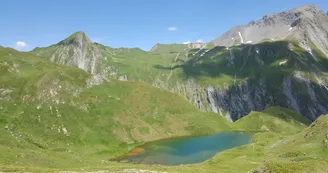6397559.jpg