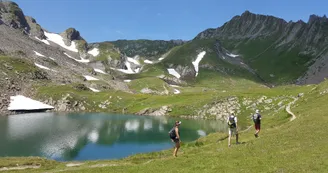 6397561.jpg