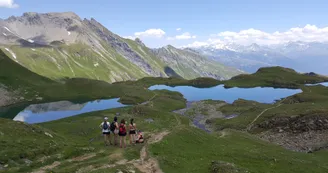 6397562.jpg