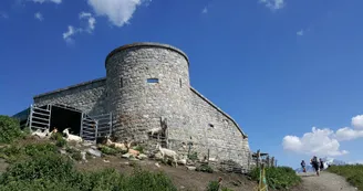 6397564.jpg