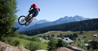 dh-vtt-double-noire-borat