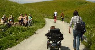 promeneurs handi