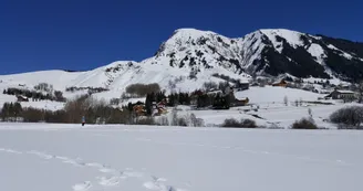 7341051.jpg