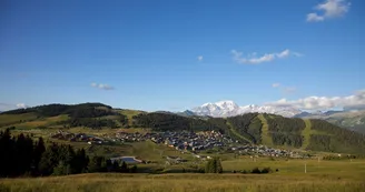 7356413.jpg